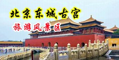 大屌插校花30P中国北京-东城古宫旅游风景区